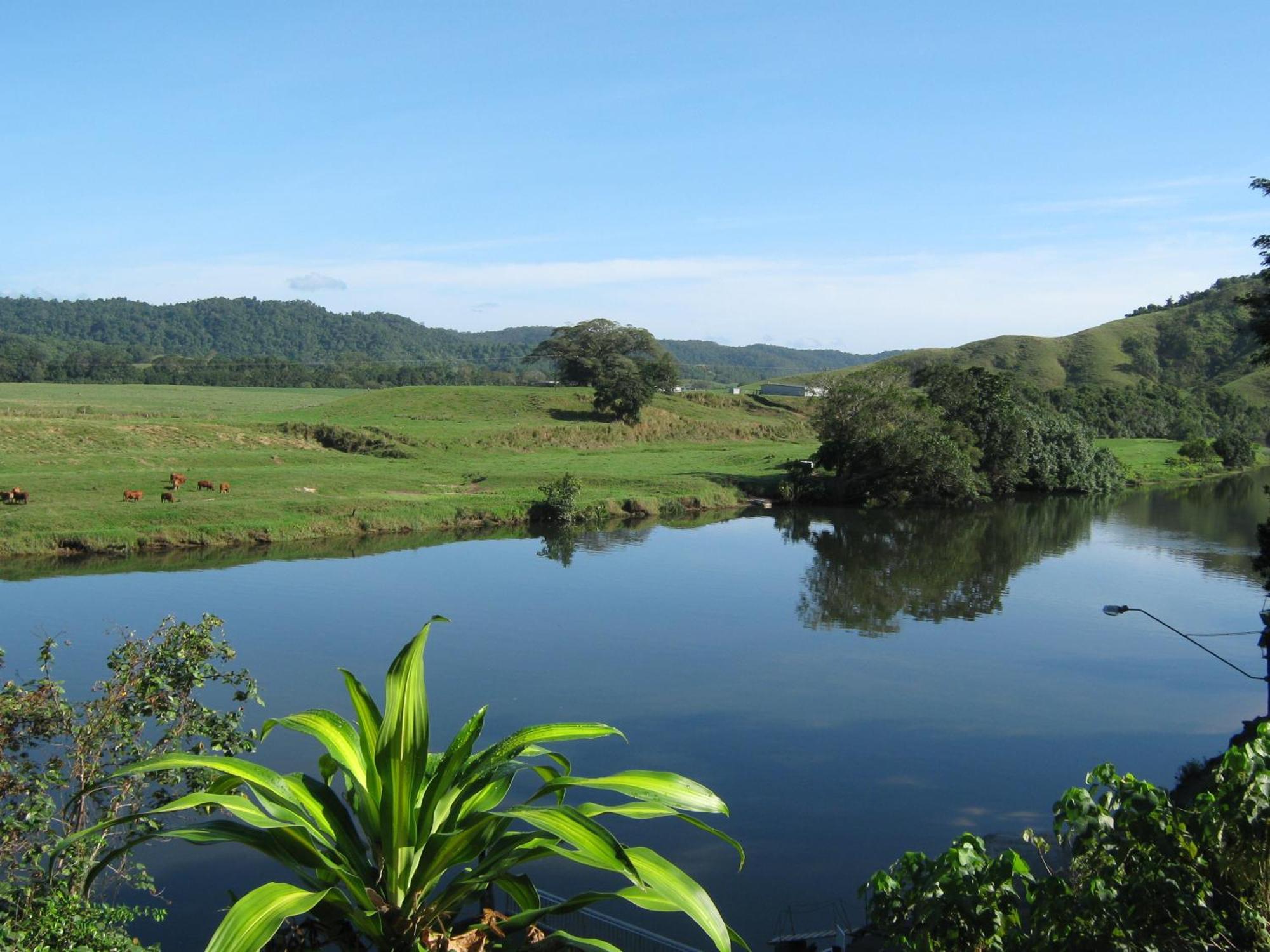 Daintree Riverview Lodges المظهر الخارجي الصورة
