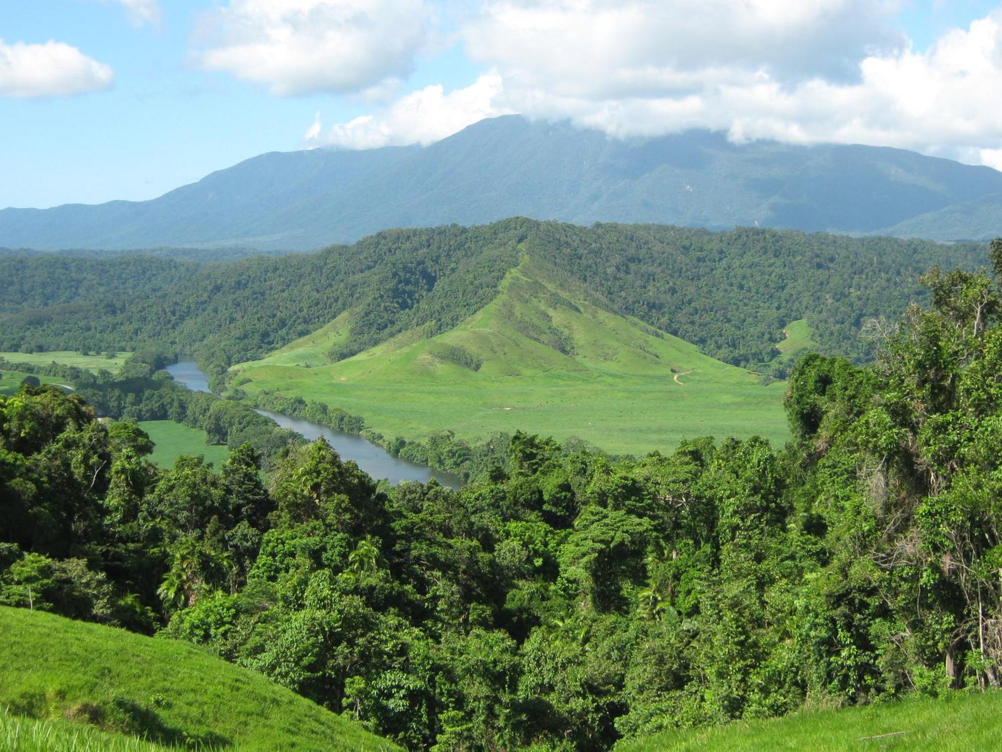 Daintree Riverview Lodges المظهر الخارجي الصورة