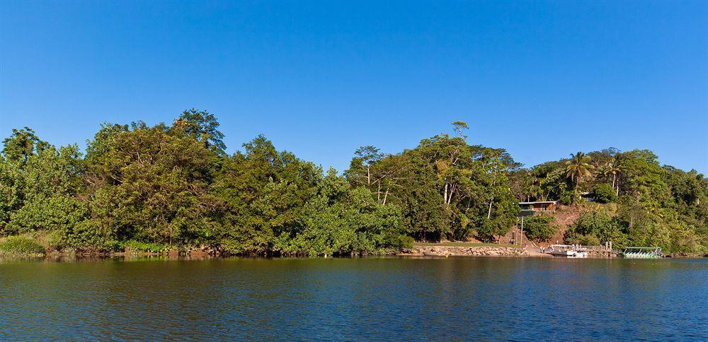 Daintree Riverview Lodges المظهر الخارجي الصورة