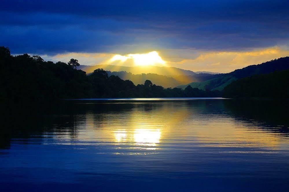 Daintree Riverview Lodges المظهر الخارجي الصورة